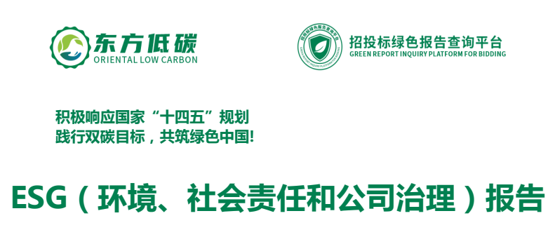 ESG (environmental, social responsibility and corporate governance) reporting