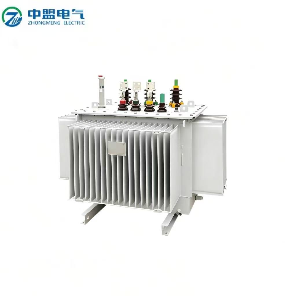 Oil-Immersed Transformers